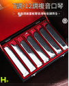 SWAN 天鵝牌 24 孔 高級複音 口琴 7調套裝 Harmonica 一套7個